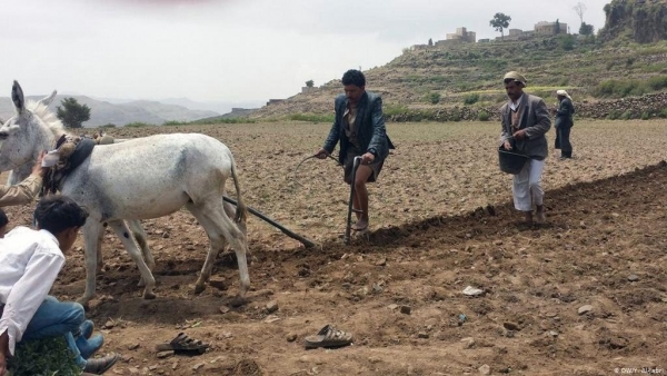 أكثر من 20 مليار دولار خسائر الزراعة في اليمن جراء الحرب
