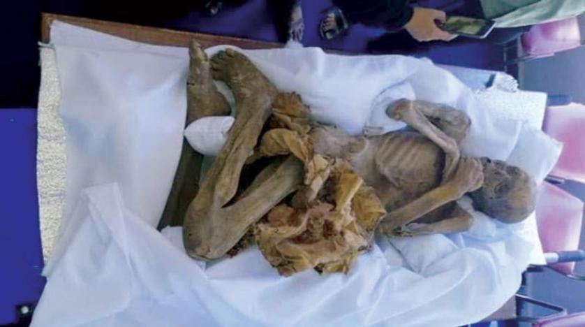 صورة مومياء يمنية تعود إلى عصر الدولة الحميرية القديمة اكتشفت أث