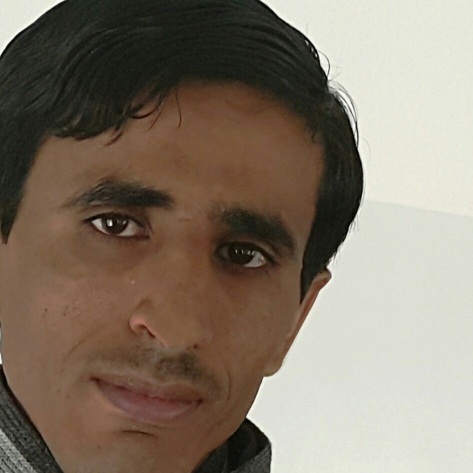 مصطفى الشامي